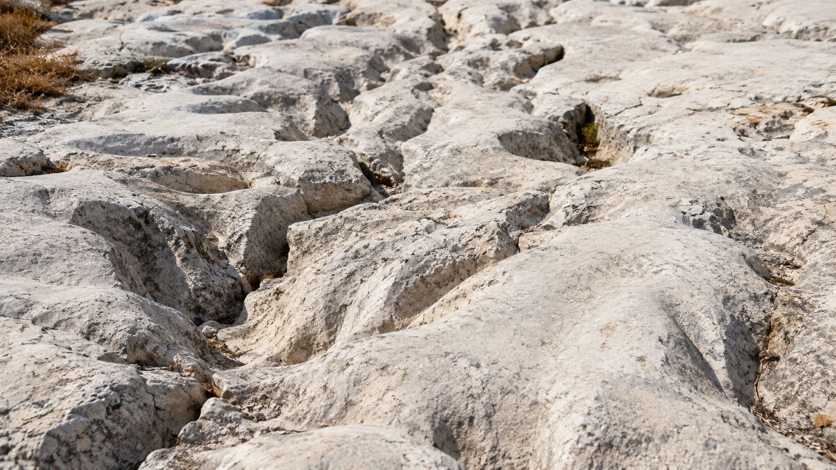 A close-up view of limestone rock surface showing erosion patterns that could be signs of a sinkhole.